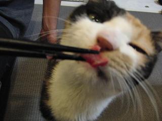 c0201113_2331436.jpg
