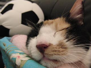 c0201113_23545768.jpg