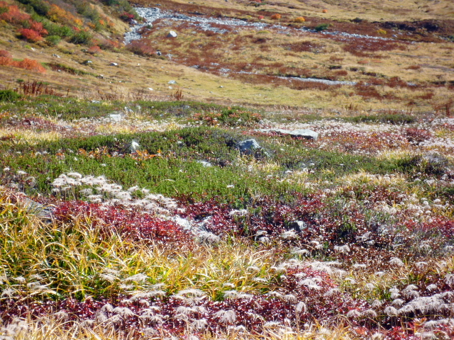 d0170615_2122537.jpg