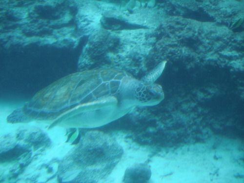 f0183618_15183744.jpg