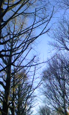 d0024220_143261.jpg