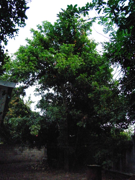 f0169328_1418931.jpg