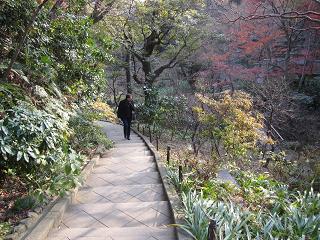 c0051529_1313569.jpg
