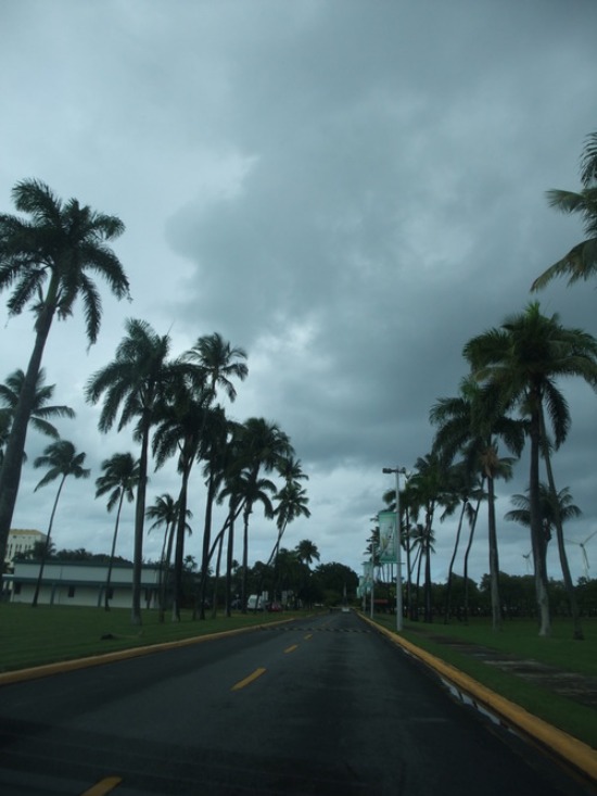 f0238932_1329353.jpg