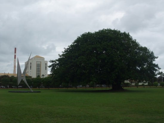 f0238932_13451330.jpg