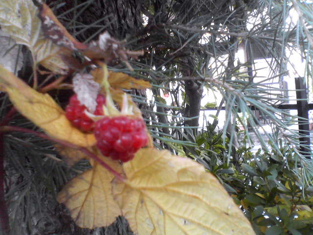 f0237037_13292658.jpg
