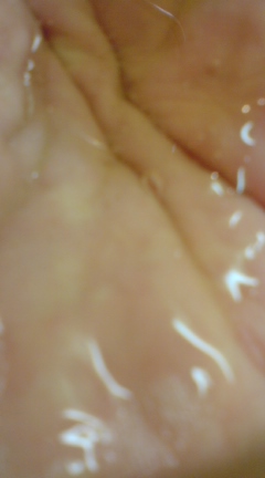 c0157540_10322440.jpg
