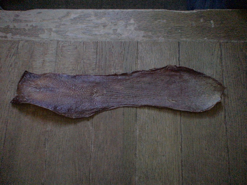 e0023643_2330043.jpg