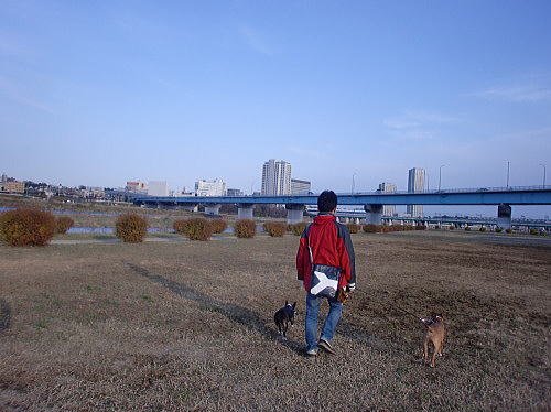 f0094843_19191413.jpg