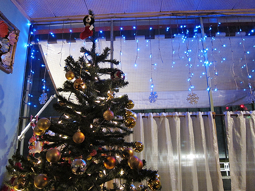 f0166645_2120137.jpg