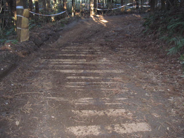 c0042655_9203314.jpg