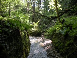 f0221258_211548.jpg