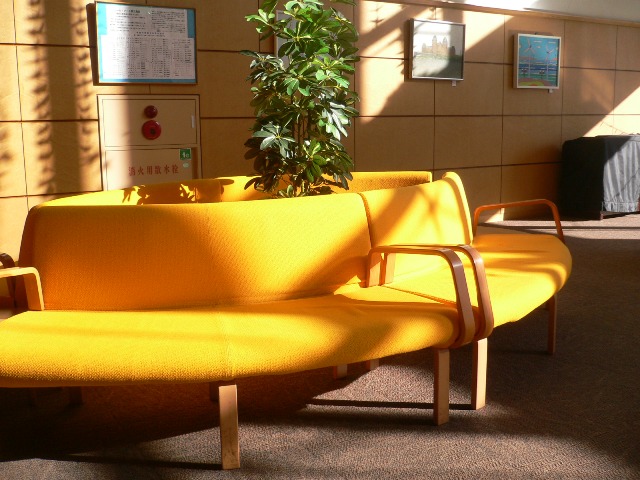 d0202960_10365632.jpg