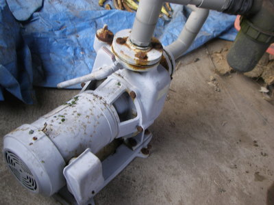 e0181260_2021569.jpg