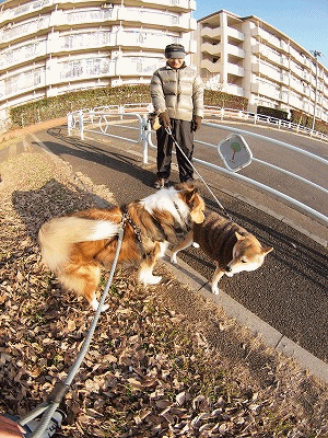 b0180764_1351518.gif