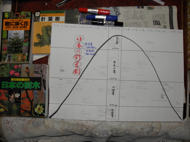 d0134473_1643492.jpg