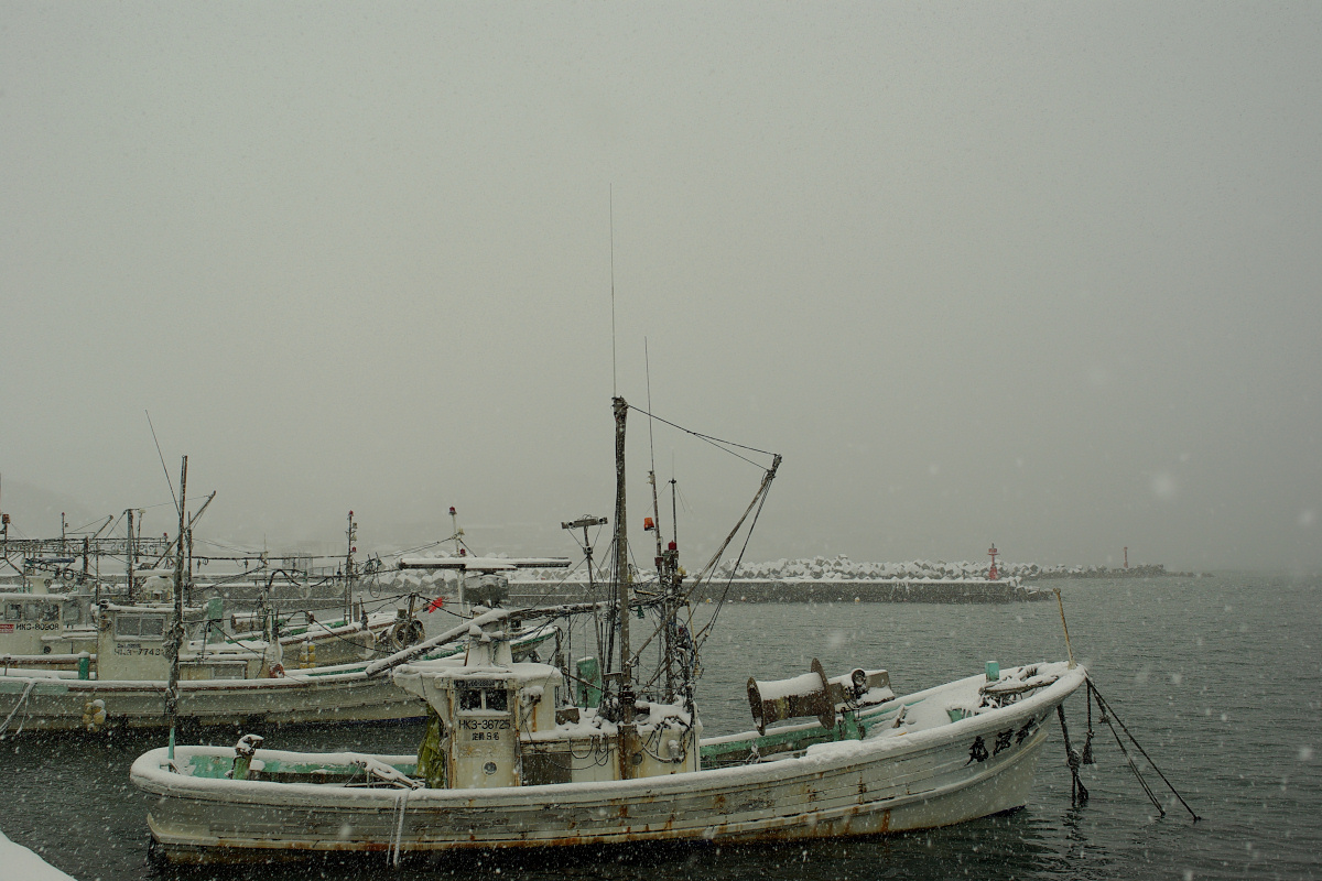 e0051186_20103695.jpg