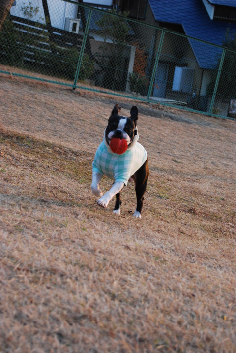 c0092787_11283141.jpg