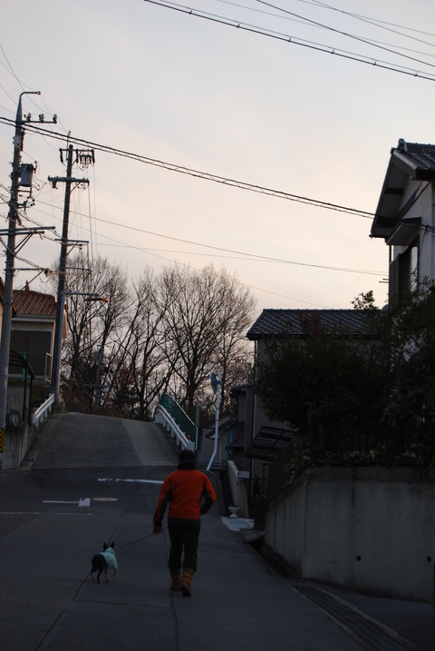 c0092787_11291340.jpg