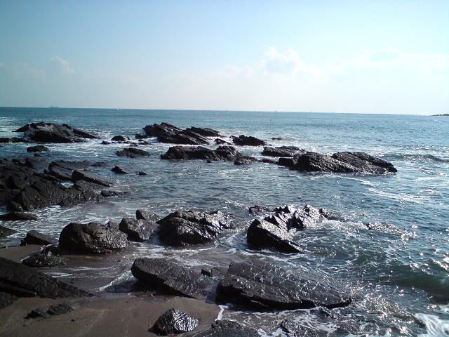 c0122788_522197.jpg