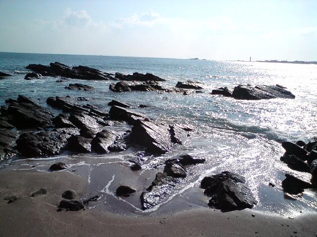 c0122788_523316.jpg