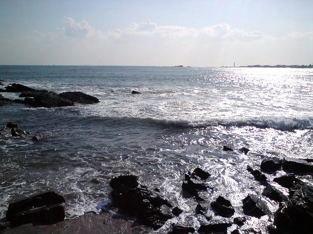 c0122788_5233516.jpg