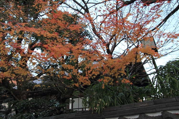 e0051888_230019.jpg