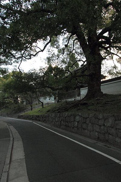 e0051888_2312240.jpg