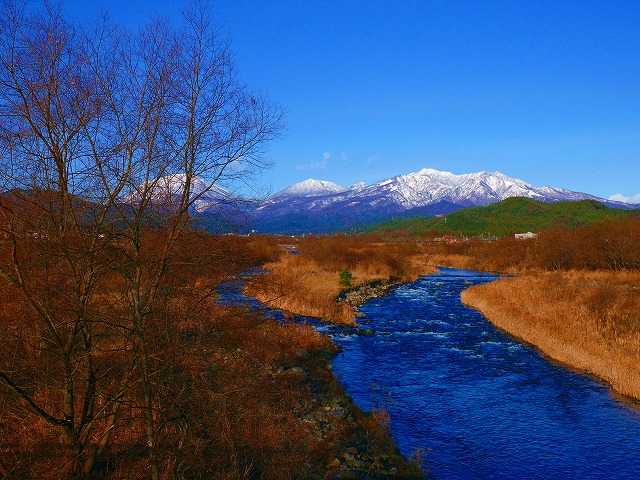 e0202393_213273.jpg