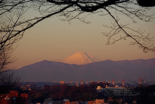c0125596_16271447.jpg