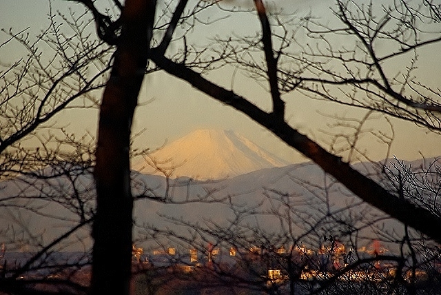 c0125596_16295577.jpg