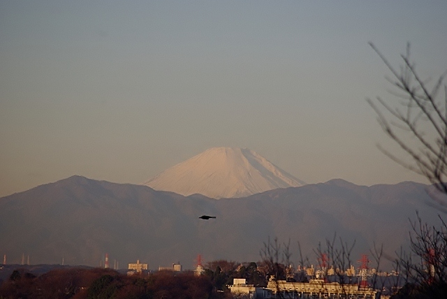 c0125596_16313018.jpg