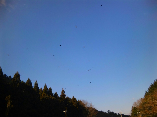 e0083097_23172295.jpg