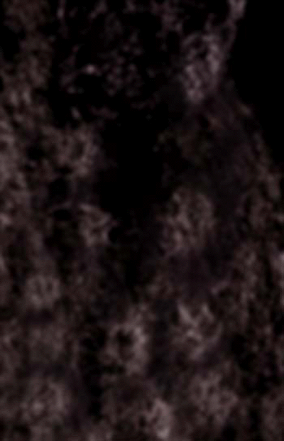 e0103408_10522190.gif