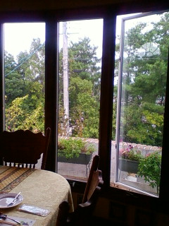 d0207515_2053388.jpg