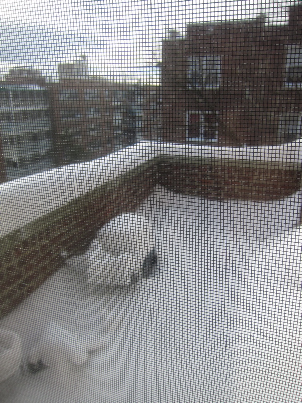 c0120817_6312674.jpg