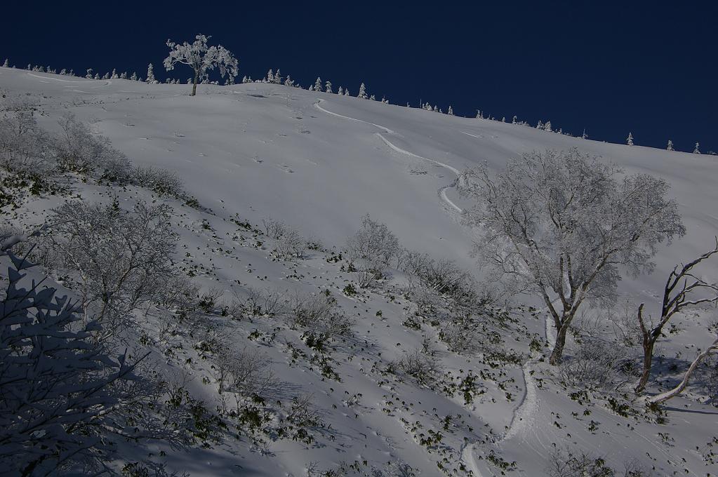 b0062024_22342967.jpg