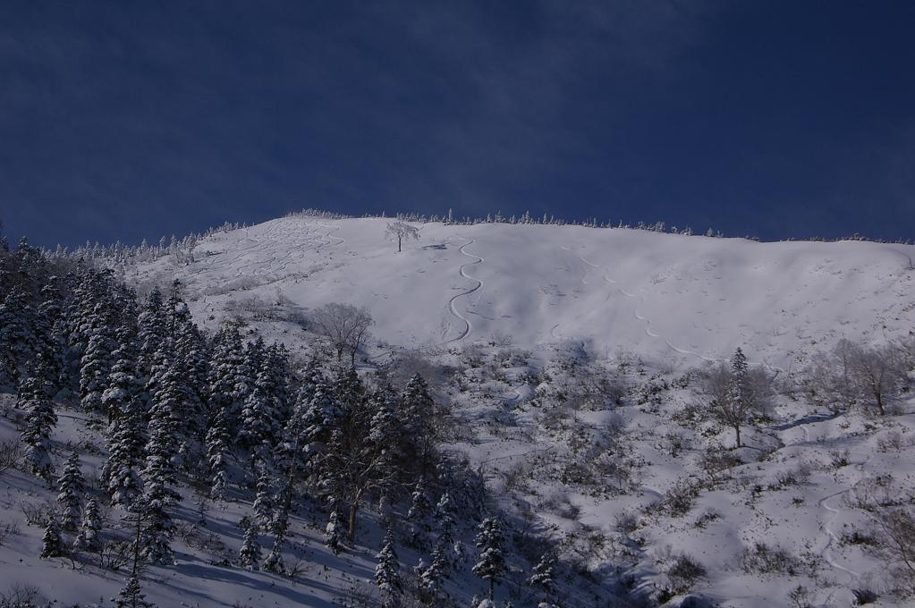 b0062024_22413698.jpg