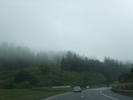 f0238932_116922.jpg