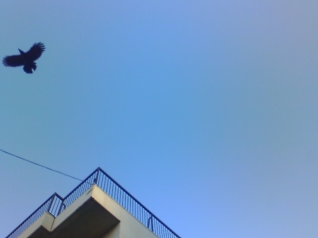 a0022038_9133741.jpg