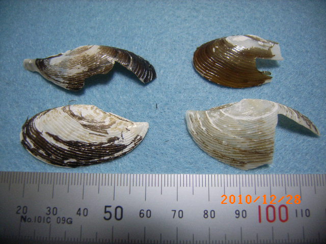 a0157451_202186.jpg