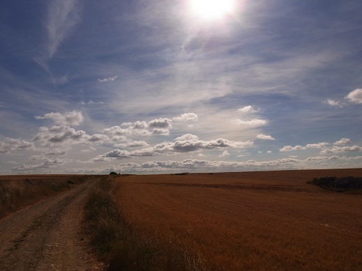 a0149356_4225064.jpg