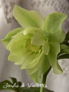 e0118257_21395484.jpg