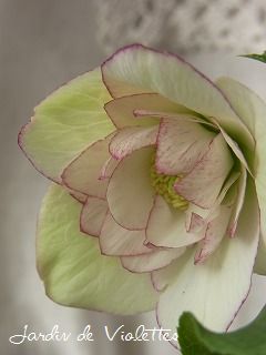 e0118257_21401647.jpg