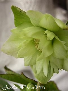 e0118257_2141061.jpg