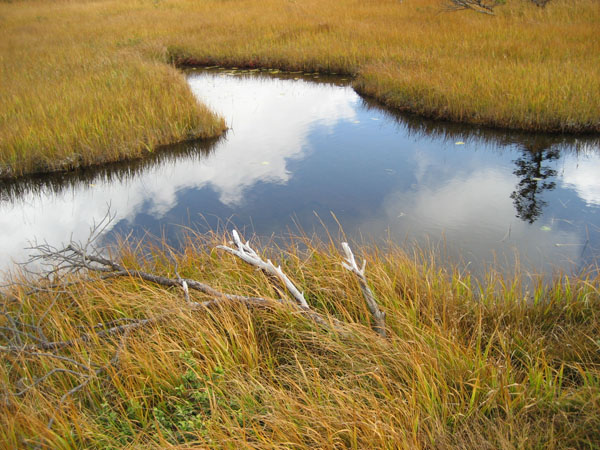 f0009457_21473649.jpg