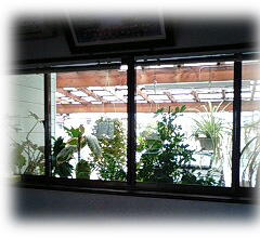 b0186959_2050417.jpg