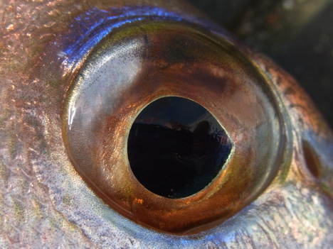 e0208965_77678.jpg