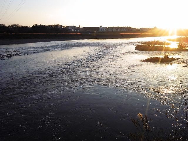 f0199565_22324547.jpg