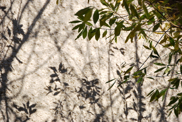 b0174068_2216271.jpg